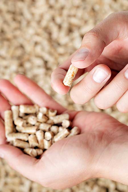 Pellet fuel pellets for fireplaces in man's hands.